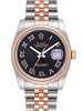 ref.116231